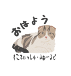 へんてこ猫図鑑（個別スタンプ：1）