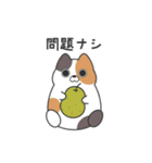 真顔ねこスタンプ（ダジャレその2）（個別スタンプ：21）