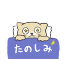 魚が好きすぎる猫（個別スタンプ：23）