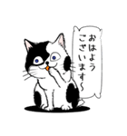 「♯スーパー猫の日スタンプ！」1（個別スタンプ：1）