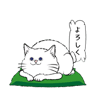 「♯スーパー猫の日スタンプ！」2（個別スタンプ：8）