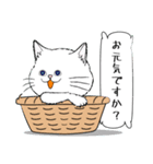 「♯スーパー猫の日スタンプ！」2（個別スタンプ：17）