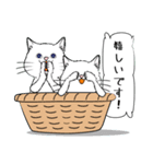 「♯スーパー猫の日スタンプ！」2（個別スタンプ：18）