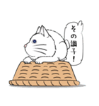 「♯スーパー猫の日スタンプ！」2（個別スタンプ：19）