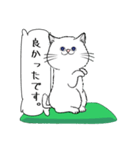 「♯スーパー猫の日スタンプ！」2（個別スタンプ：24）