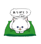 「♯スーパー猫の日スタンプ！」2（個別スタンプ：27）