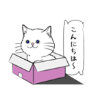 「♯スーパー猫の日スタンプ！」3（個別スタンプ：2）