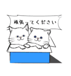 「♯スーパー猫の日スタンプ！」3（個別スタンプ：14）