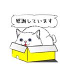 「♯スーパー猫の日スタンプ！」3（個別スタンプ：30）