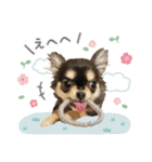 coco's daily life sticker（個別スタンプ：15）