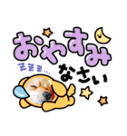 ポメコタの 1年間使える日常あいさつ（個別スタンプ：3）
