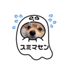 ポメコタの 1年間使える日常あいさつ（個別スタンプ：5）