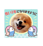 ポメコタの 1年間使える日常あいさつ（個別スタンプ：26）