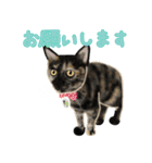 Mommy cats and a quokka（個別スタンプ：18）