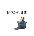 芋之島のべーちゃんスタンプ(その2) 犬（個別スタンプ：4）