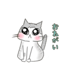 サバ白ねこ（個別スタンプ：3）