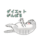 サバ白ねこ（個別スタンプ：8）