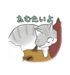 サバ白ねこ（個別スタンプ：11）