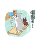 サバ白ねこ（個別スタンプ：27）