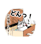 サバ白ねこ（個別スタンプ：29）