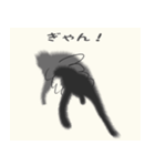 【 飛び出す 黒猫 ネロ】（個別スタンプ：5）