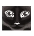 【 飛び出す 黒猫 ネロ】（個別スタンプ：15）