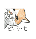 ヒグチユウコ 猫のボリスアニメスタンプ（個別スタンプ：7）