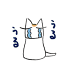 猫色いろ（個別スタンプ：8）