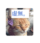 野良猫の「ちゃ」2（個別スタンプ：2）