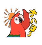 いろんなインコ・オウムたち（個別スタンプ：1）