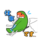 いろんなインコ・オウムたち（個別スタンプ：22）