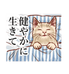 リアルな猫のリアルな日常4（個別スタンプ：18）