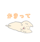 ねこの日ねこ（個別スタンプ：31）