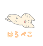 ねこの日ねこ（個別スタンプ：34）