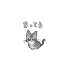 白黒ねこと仲間たち（個別スタンプ：18）