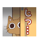 ベルねこ★（個別スタンプ：7）