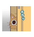 ベルねこ★（個別スタンプ：9）