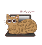 ベルねこ★（個別スタンプ：10）