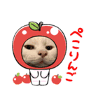 リトルスタンプ＊第二弾（個別スタンプ：5）