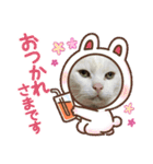 リトルスタンプ＊第二弾（個別スタンプ：13）