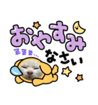 リトルスタンプ＊第二弾（個別スタンプ：15）