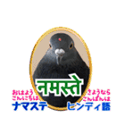 いろんな国の言葉で鳩が挨拶をするスタンプ（個別スタンプ：12）