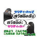 いろんな国の言葉で鳩が挨拶をするスタンプ（個別スタンプ：16）