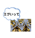 たけしのスタンプ その32（個別スタンプ：2）