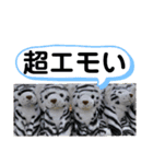 たけしのスタンプ その32（個別スタンプ：5）
