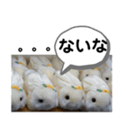 たけしのスタンプ その32（個別スタンプ：6）