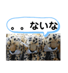 たけしのスタンプ その32（個別スタンプ：7）