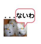 たけしのスタンプ その32（個別スタンプ：8）