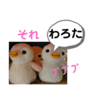 たけしのスタンプ その32（個別スタンプ：9）