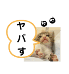 たけしのスタンプ その32（個別スタンプ：11）